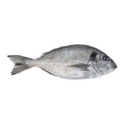 Fresh Fish Sea Bream G (400-600) FARM | Marmari - Τσιπούρα (kg)
