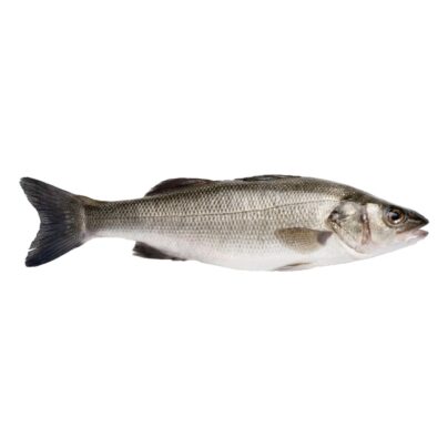 Fresh Fish Sea Bass G (400-600) FARM | Marmari -  Λαυράκι (kg)